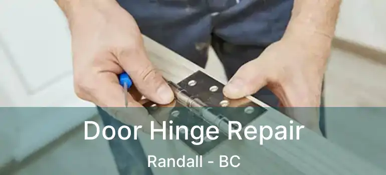  Door Hinge Repair Randall - BC
