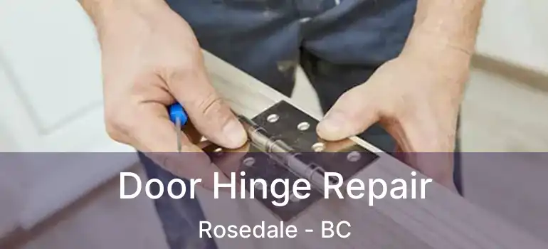  Door Hinge Repair Rosedale - BC