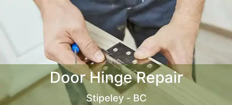  Door Hinge Repair Stipeley - BC