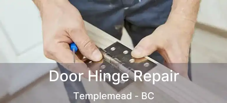  Door Hinge Repair Templemead - BC