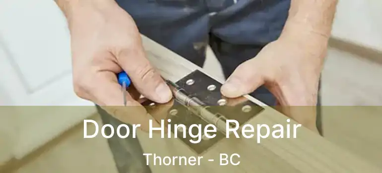  Door Hinge Repair Thorner - BC