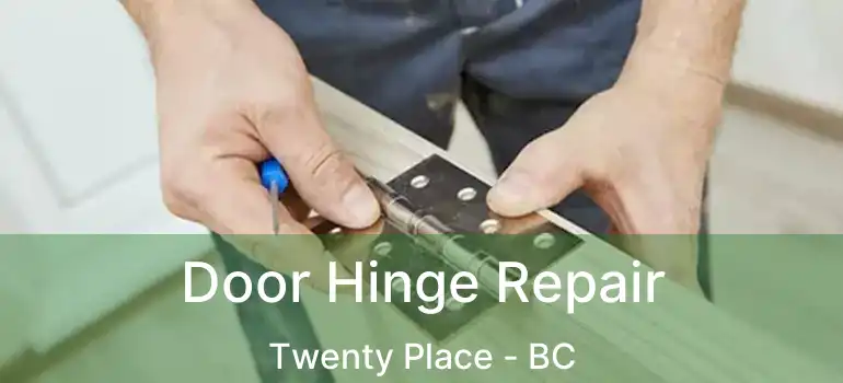  Door Hinge Repair Twenty Place - BC