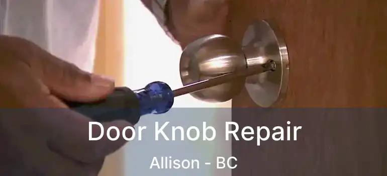  Door Knob Repair Allison - BC