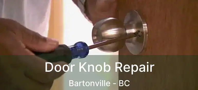  Door Knob Repair Bartonville - BC