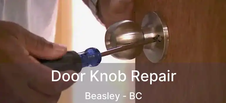  Door Knob Repair Beasley - BC