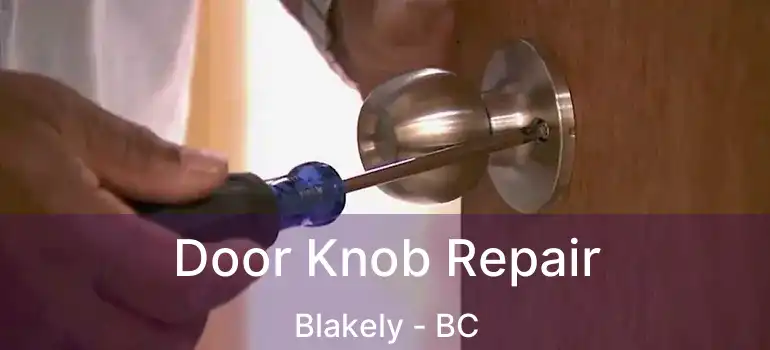  Door Knob Repair Blakely - BC