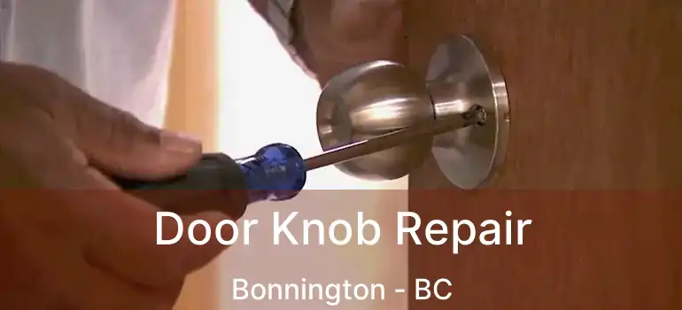  Door Knob Repair Bonnington - BC