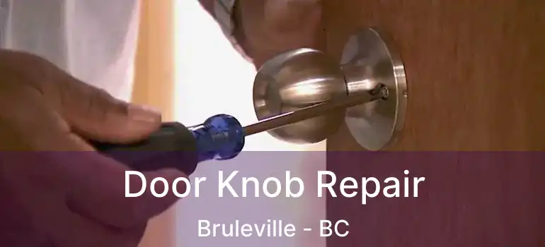  Door Knob Repair Bruleville - BC