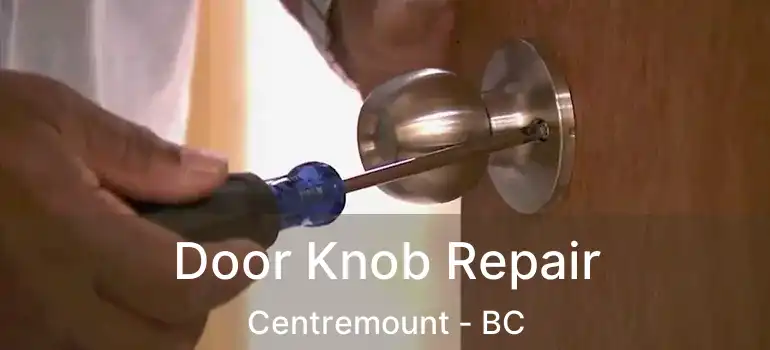  Door Knob Repair Centremount - BC