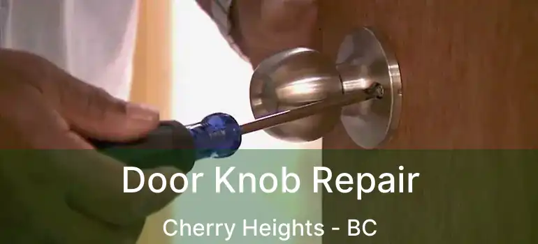  Door Knob Repair Cherry Heights - BC