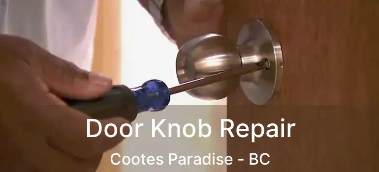  Door Knob Repair Cootes Paradise - BC
