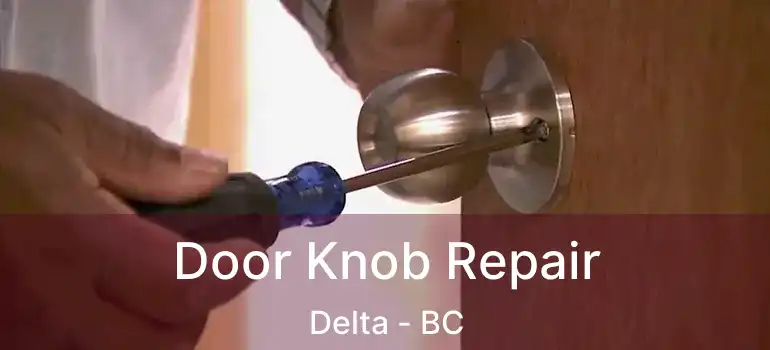  Door Knob Repair Delta - BC