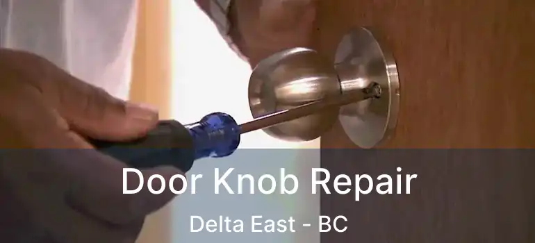  Door Knob Repair Delta East - BC