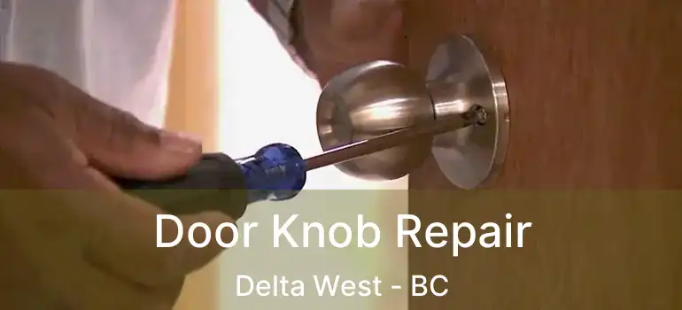  Door Knob Repair Delta West - BC