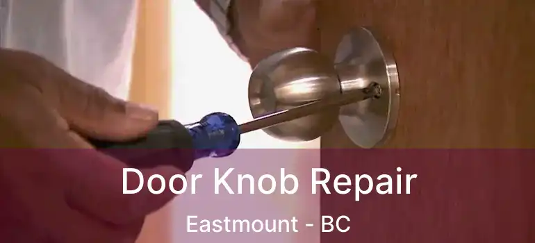  Door Knob Repair Eastmount - BC