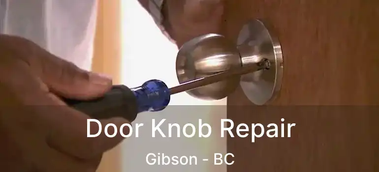  Door Knob Repair Gibson - BC
