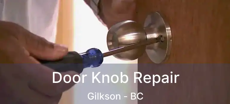 Door Knob Repair Gilkson - BC