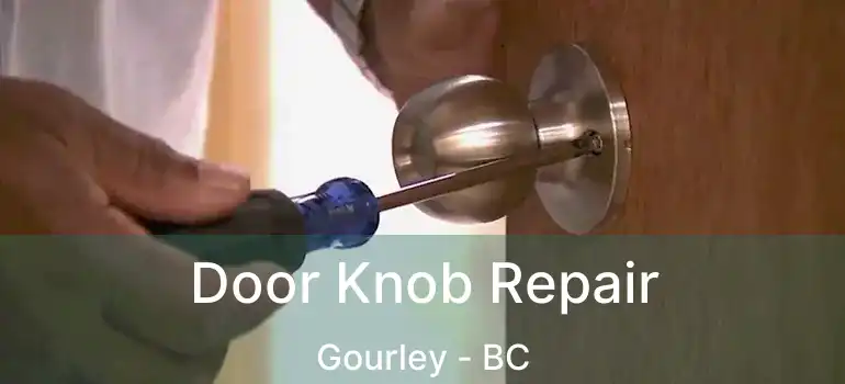  Door Knob Repair Gourley - BC