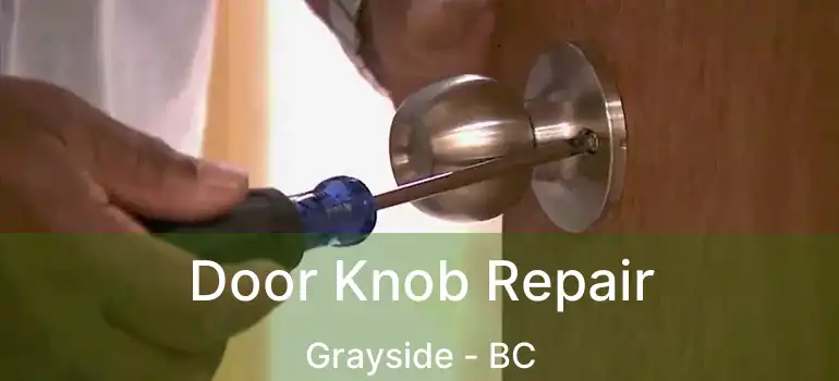 Door Knob Repair Grayside - BC