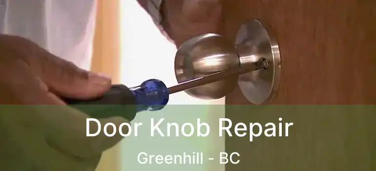  Door Knob Repair Greenhill - BC