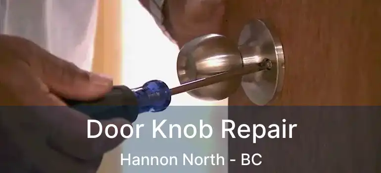  Door Knob Repair Hannon North - BC