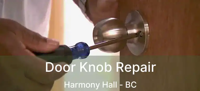  Door Knob Repair Harmony Hall - BC