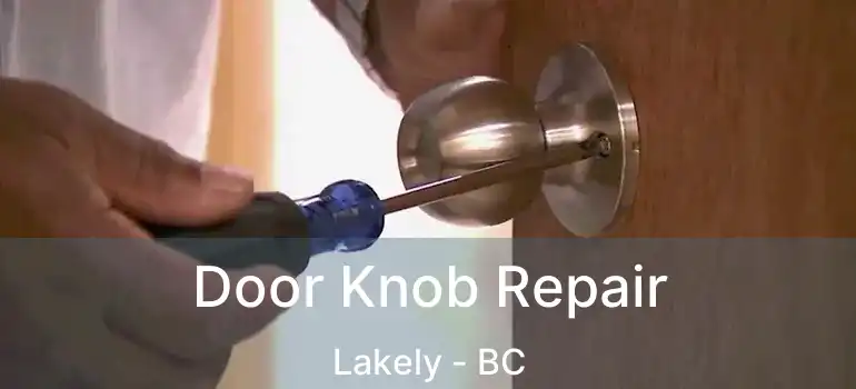  Door Knob Repair Lakely - BC