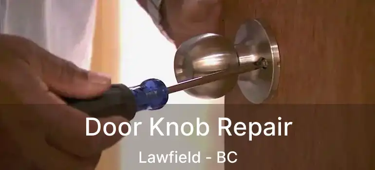  Door Knob Repair Lawfield - BC