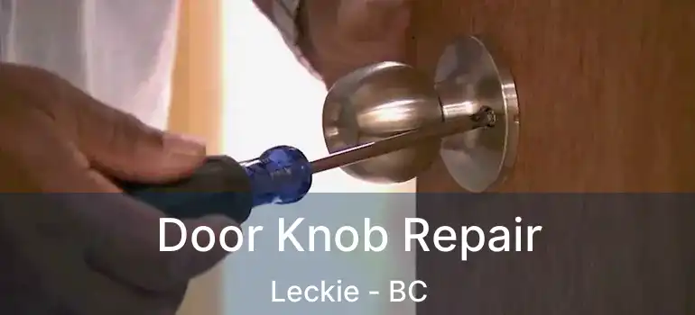  Door Knob Repair Leckie - BC