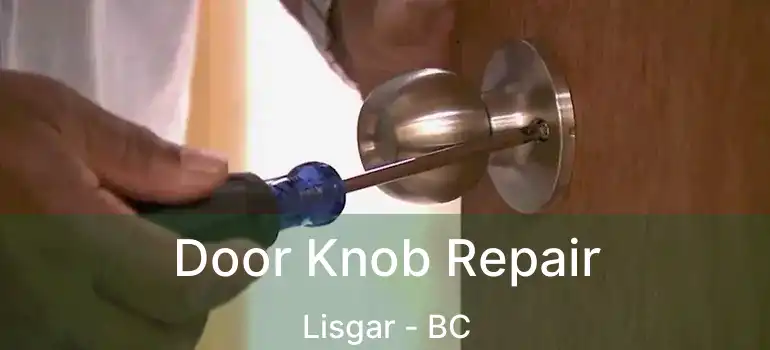  Door Knob Repair Lisgar - BC