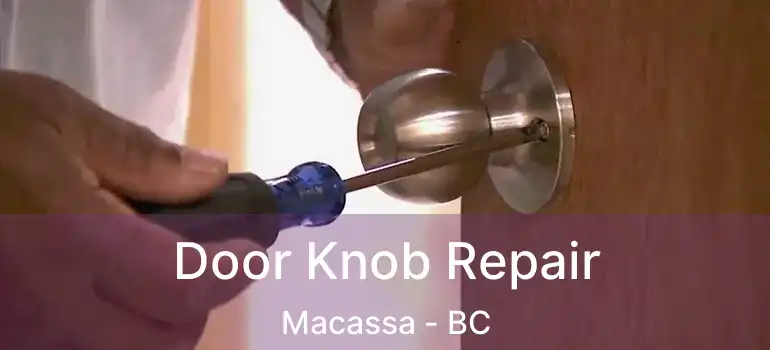  Door Knob Repair Macassa - BC