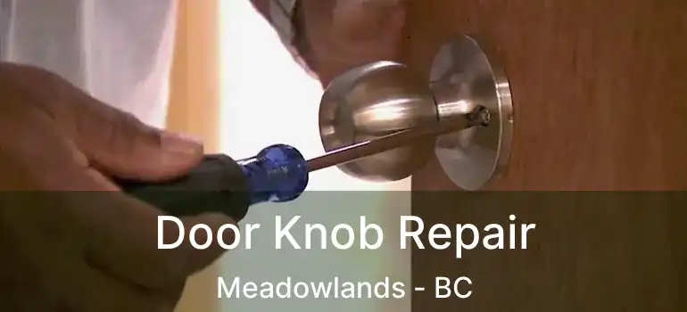  Door Knob Repair Meadowlands - BC