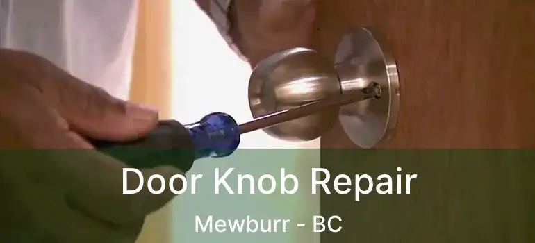  Door Knob Repair Mewburr - BC