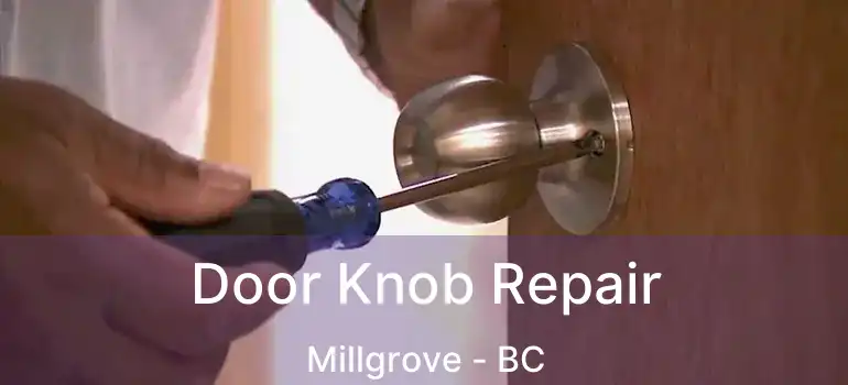  Door Knob Repair Millgrove - BC