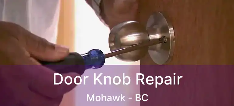  Door Knob Repair Mohawk - BC