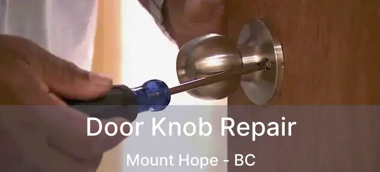  Door Knob Repair Mount Hope - BC