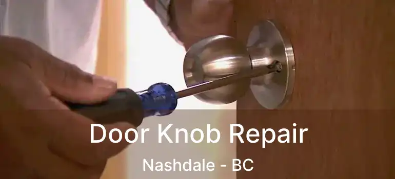  Door Knob Repair Nashdale - BC