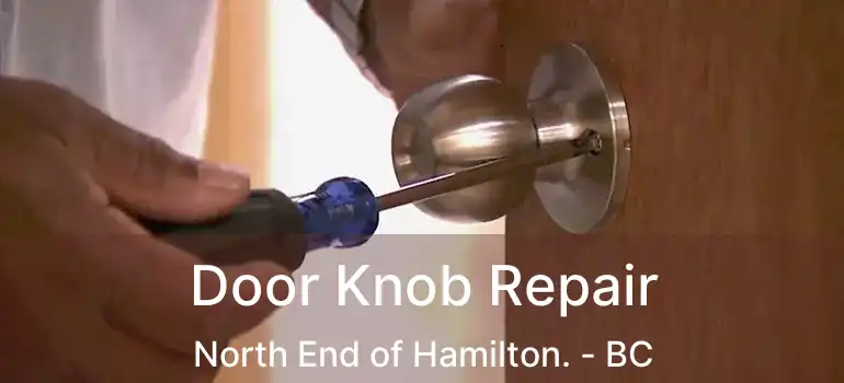  Door Knob Repair North End of Hamilton. - BC