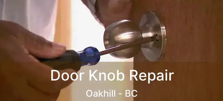  Door Knob Repair Oakhill - BC