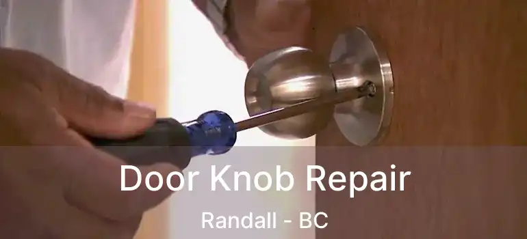  Door Knob Repair Randall - BC