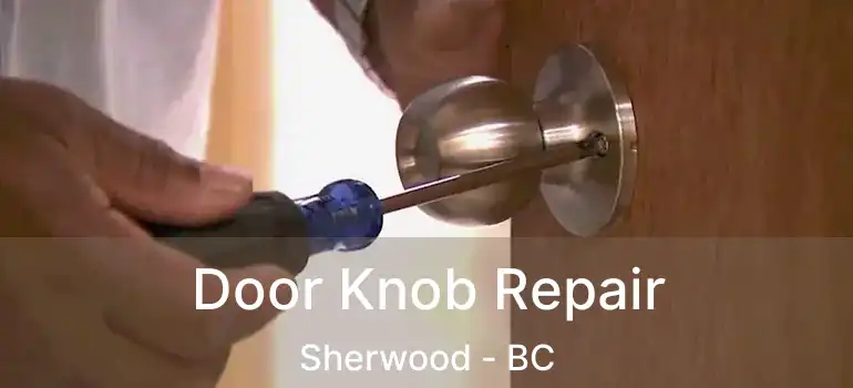  Door Knob Repair Sherwood - BC