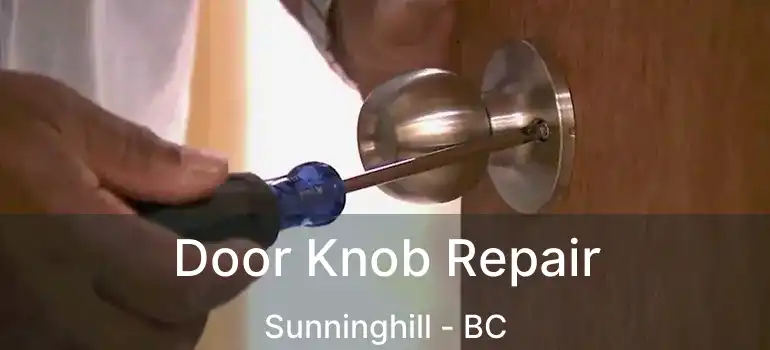  Door Knob Repair Sunninghill - BC