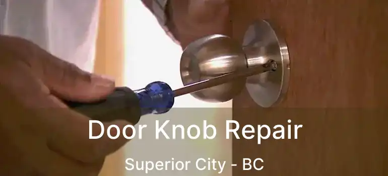  Door Knob Repair Superior City - BC