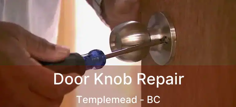  Door Knob Repair Templemead - BC