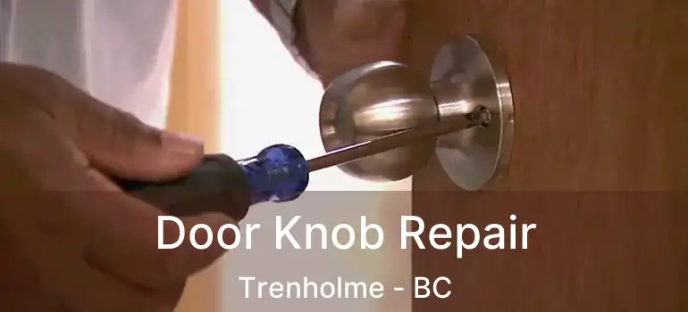  Door Knob Repair Trenholme - BC