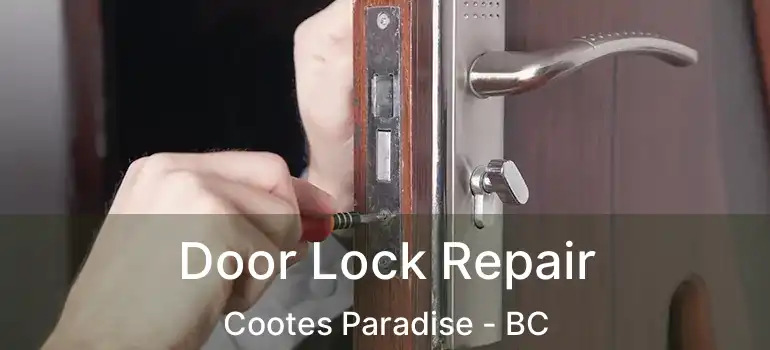  Door Lock Repair Cootes Paradise - BC