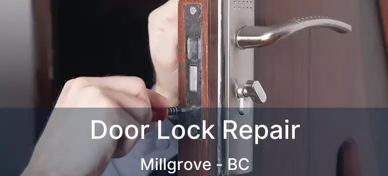  Door Lock Repair Millgrove - BC