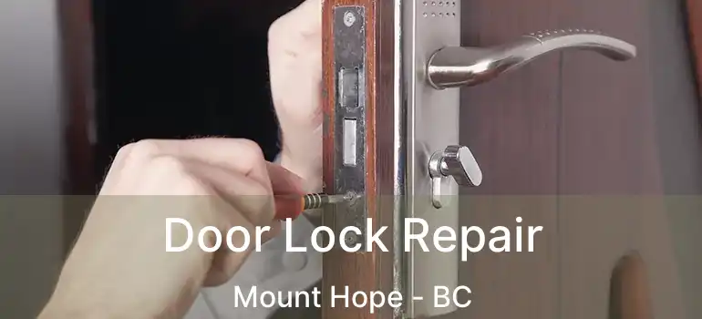  Door Lock Repair Mount Hope - BC