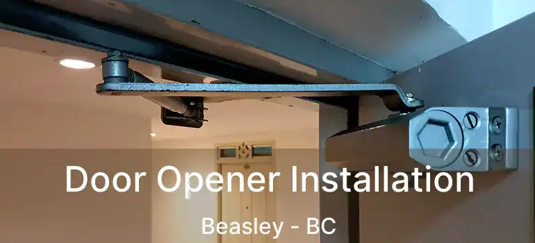  Door Opener Installation Beasley - BC