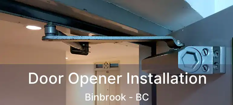  Door Opener Installation Binbrook - BC